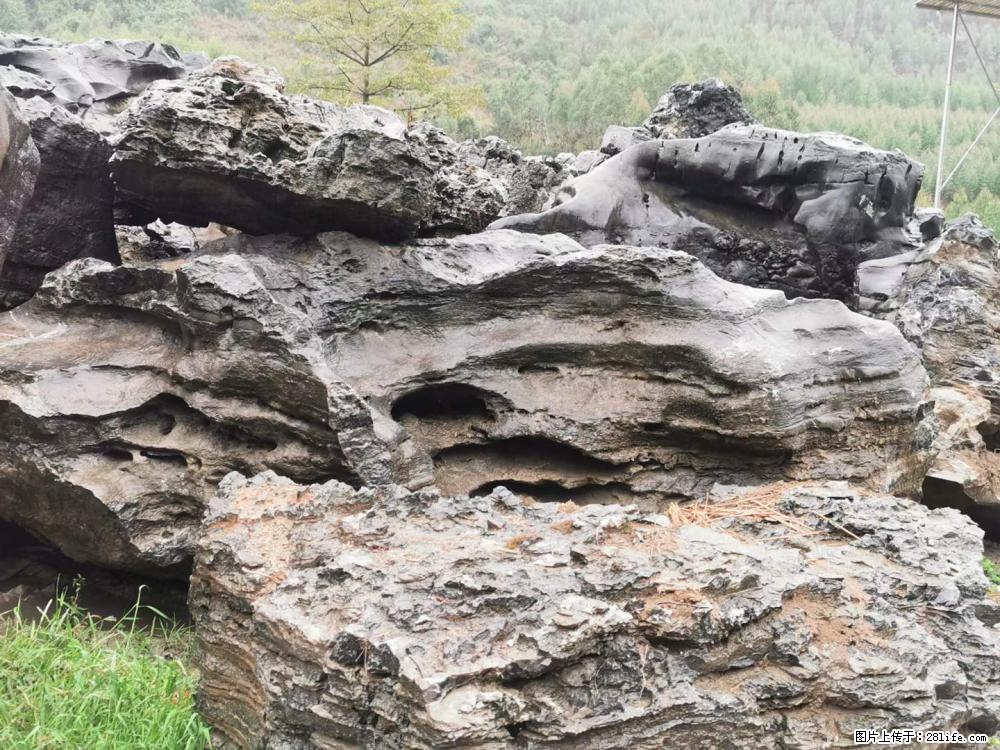 风景石、假山石大量有货，有需要的欢迎联系 - 新手上路 - 重庆生活社区 - 重庆28生活网 cq.28life.net