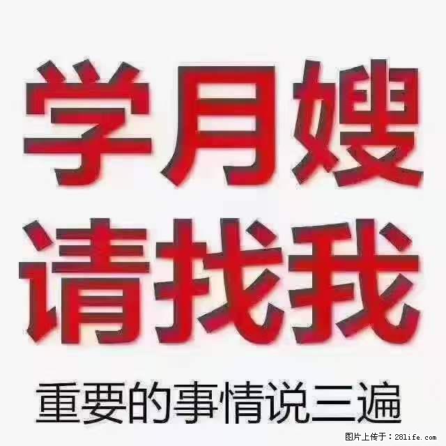 为什么要学习月嫂，育婴师？ - 其他广告 - 广告专区 - 重庆分类信息 - 重庆28生活网 cq.28life.net