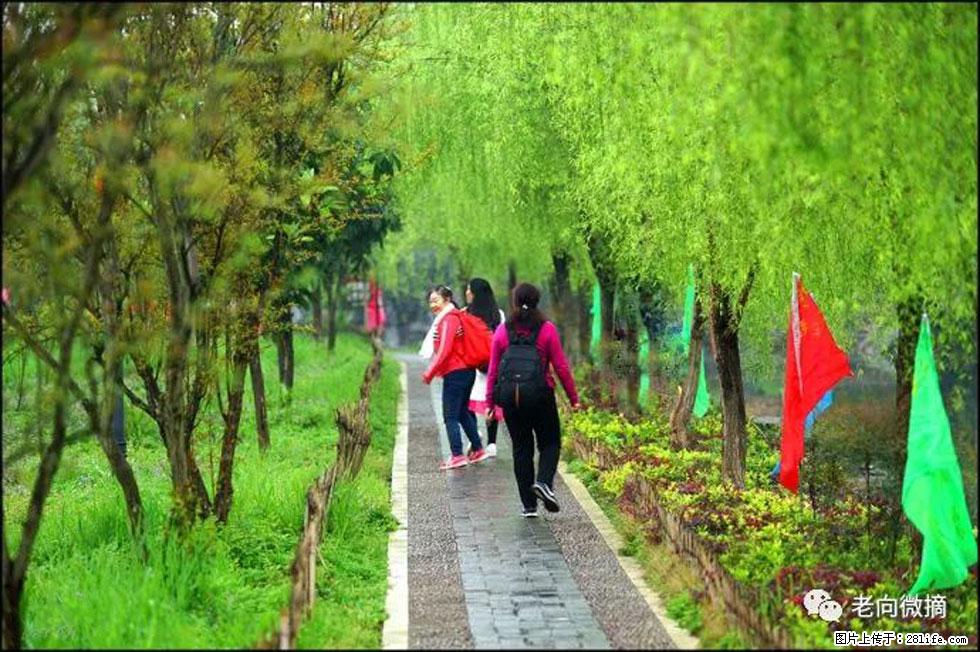 【春天，广西桂林灌阳县向您发出邀请！】江口老街又逢春 - 游山玩水 - 重庆生活社区 - 重庆28生活网 cq.28life.net