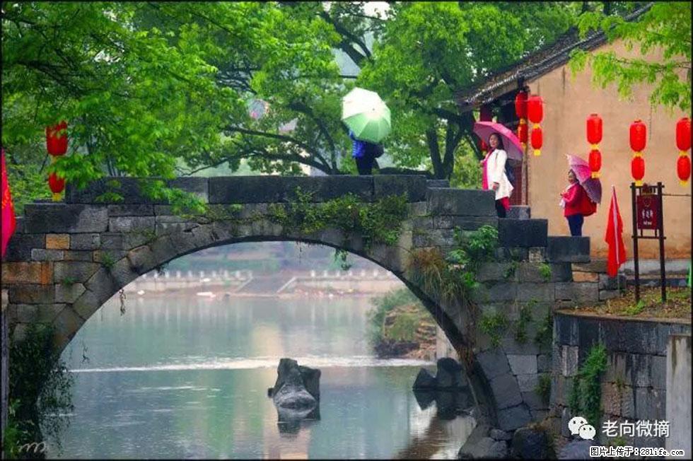 【春天，广西桂林灌阳县向您发出邀请！】江口老街又逢春 - 游山玩水 - 重庆生活社区 - 重庆28生活网 cq.28life.net