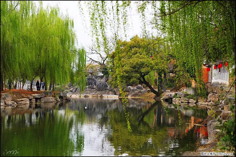 【春天，广西桂林灌阳县向您发出邀请！】江口老街又逢春 - 游山玩水 - 重庆生活社区 - 重庆28生活网 cq.28life.net