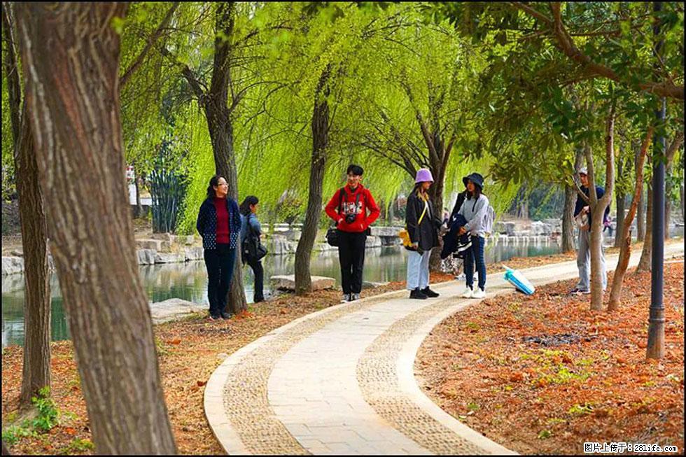 【春天，广西桂林灌阳县向您发出邀请！】江口老街又逢春 - 游山玩水 - 重庆生活社区 - 重庆28生活网 cq.28life.net