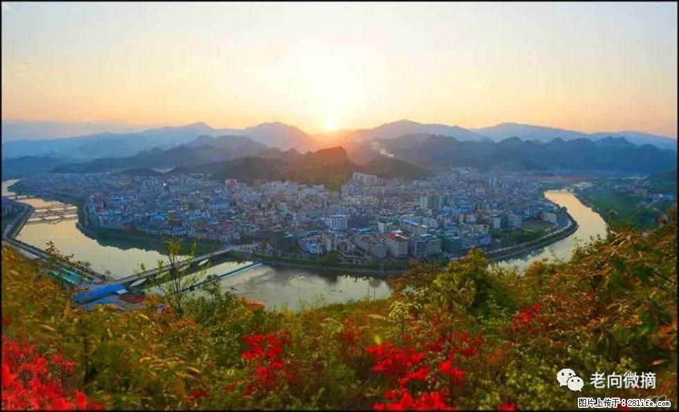 【春天，广西桂林灌阳县向您发出邀请！】登麒麟山，相约映山红 - 游山玩水 - 重庆生活社区 - 重庆28生活网 cq.28life.net