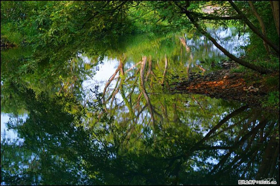 【春天，广西桂林灌阳县向您发出邀请！】熊家寨湿地公园 - 游山玩水 - 重庆生活社区 - 重庆28生活网 cq.28life.net