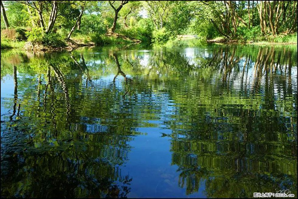 【春天，广西桂林灌阳县向您发出邀请！】熊家寨湿地公园 - 游山玩水 - 重庆生活社区 - 重庆28生活网 cq.28life.net