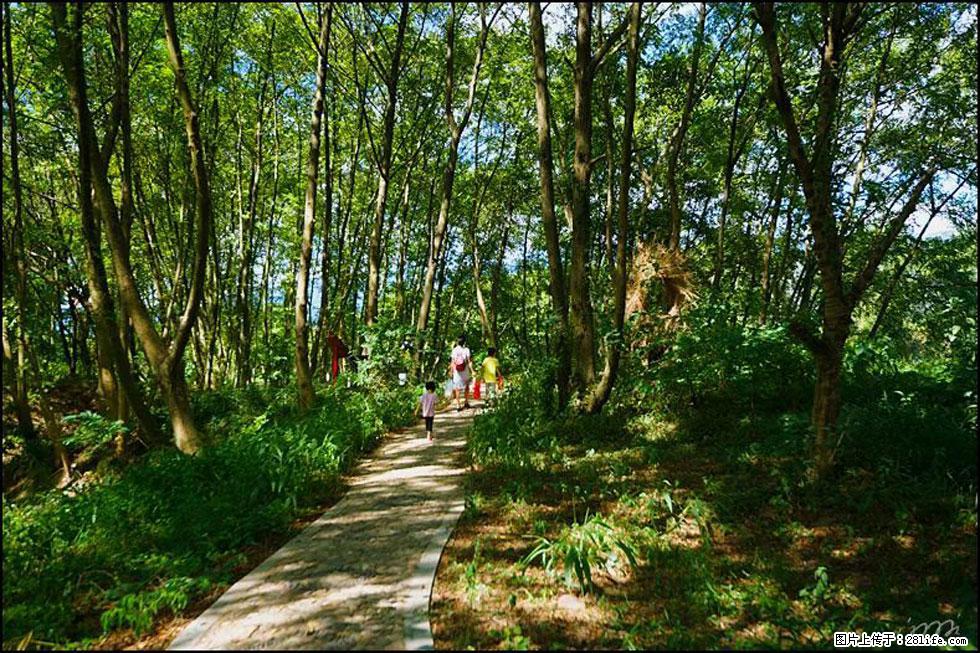 【春天，广西桂林灌阳县向您发出邀请！】熊家寨湿地公园 - 游山玩水 - 重庆生活社区 - 重庆28生活网 cq.28life.net