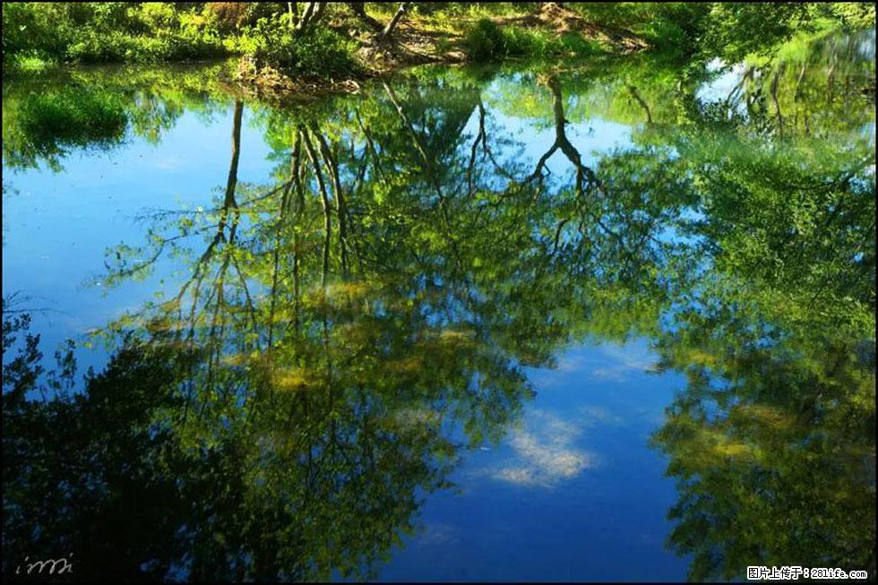 【春天，广西桂林灌阳县向您发出邀请！】熊家寨湿地公园 - 游山玩水 - 重庆生活社区 - 重庆28生活网 cq.28life.net