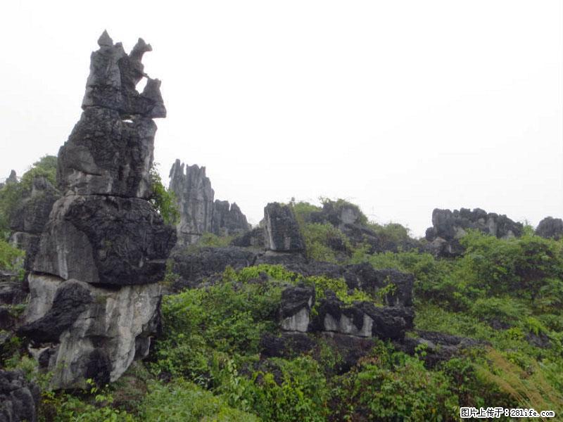 桂林旅游名城景点：灌阳文市石林 - 游山玩水 - 重庆生活社区 - 重庆28生活网 cq.28life.net