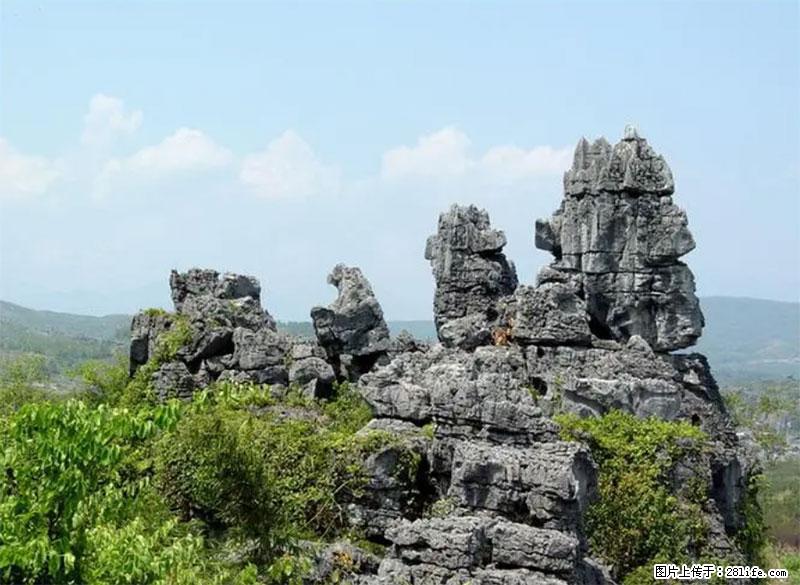 桂林旅游名城景点：灌阳文市石林 - 游山玩水 - 重庆生活社区 - 重庆28生活网 cq.28life.net