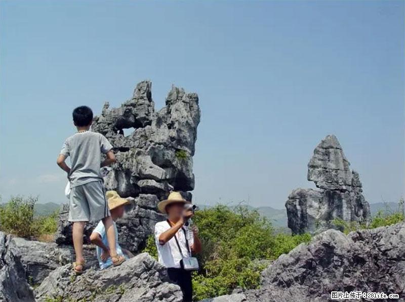 桂林旅游名城景点：灌阳文市石林 - 游山玩水 - 重庆生活社区 - 重庆28生活网 cq.28life.net