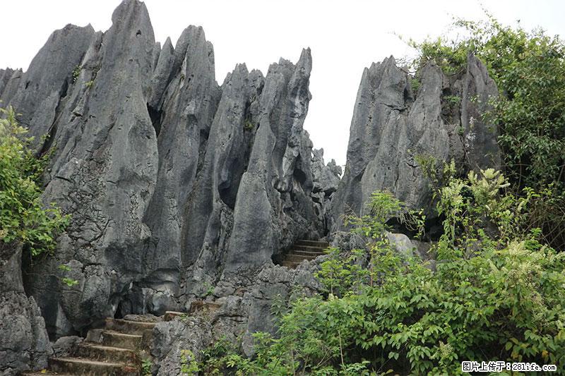 桂林旅游名城景点：灌阳文市石林 - 游山玩水 - 重庆生活社区 - 重庆28生活网 cq.28life.net