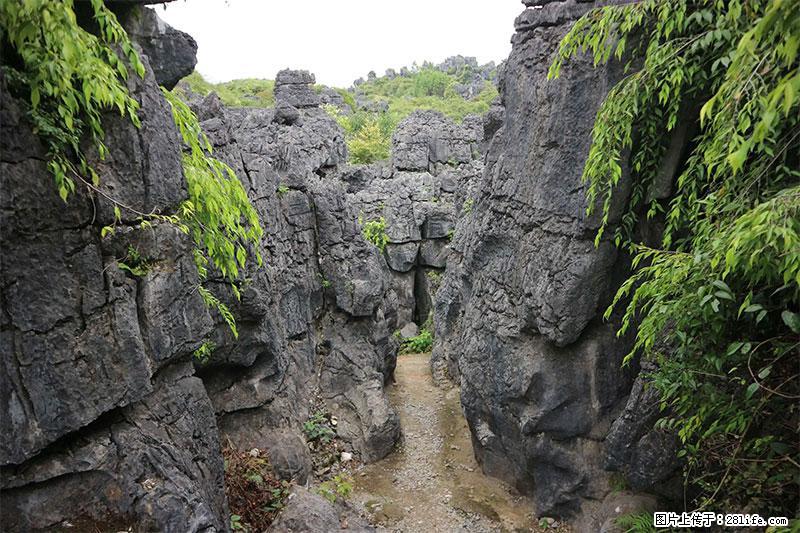 桂林旅游名城景点：灌阳文市石林 - 游山玩水 - 重庆生活社区 - 重庆28生活网 cq.28life.net