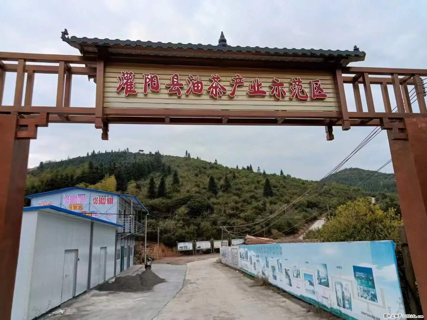 【灌阳县油茶产业示范区】一个有着充实的精神生活的人，对待身外之物自会有一种淡泊的态度 - 土特产 - 饮食特产 - 重庆分类信息 - 重庆28生活网 cq.28life.net