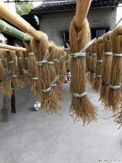 【灌阳正宗红薯粉】美女家里自己做的，干净卫生，假一赔十，价格合理，抢购电话：13737312895 - 重庆28生活网 cq.28life.net