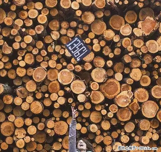 辞掉工作周游世界？现在他们在洗厕所…… - 游山玩水 - 重庆生活社区 - 重庆28生活网 cq.28life.net