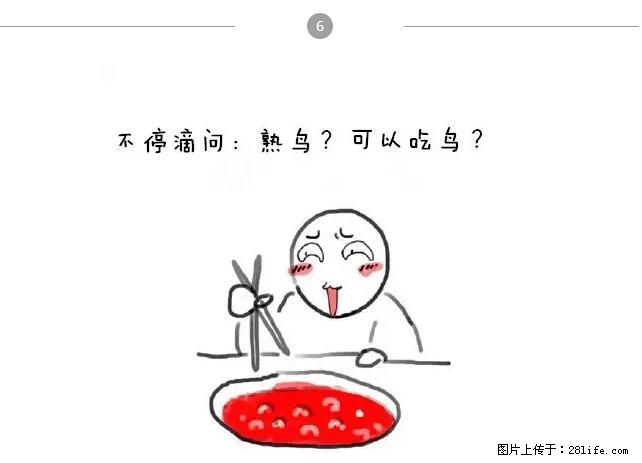 千万不要和这9种哈卵一起吃火锅！ - 美食天地 - 重庆生活社区 - 重庆28生活网 cq.28life.net