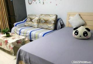 租金可月付可短租！狮子坪轻轨站龙头寺公园旁 精装单配高档小区 - 重庆28生活网 cq.28life.net