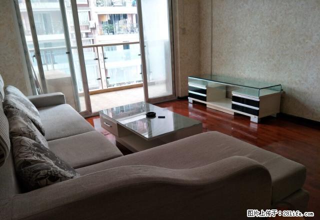 江北区 观音桥 324医院背后精装房 首月房租减半 图片真实 - 房屋出租 - 房屋租售 - 重庆分类信息 - 重庆28生活网 cq.28life.net