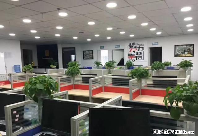 刚出来办公房急租 随时看房带全部东西 上海城近亚太对容60人 - 房屋出租 - 房屋租售 - 重庆分类信息 - 重庆28生活网 cq.28life.net