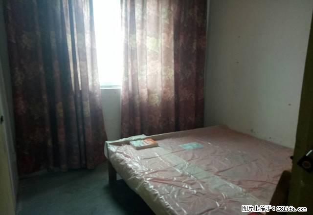 南坪协信对面电梯两室便宜出租家具家电齐全 - 房屋出租 - 房屋租售 - 重庆分类信息 - 重庆28生活网 cq.28life.net