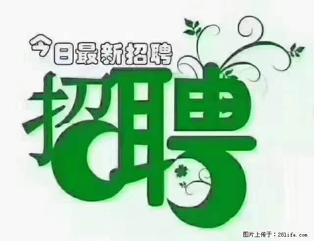 【招聘摄像师】待遇：试用期6000元/月，转正7000元/月+五险一金+餐补+节日福利+奖金 - 职场交流 - 重庆生活社区 - 重庆28生活网 cq.28life.net
