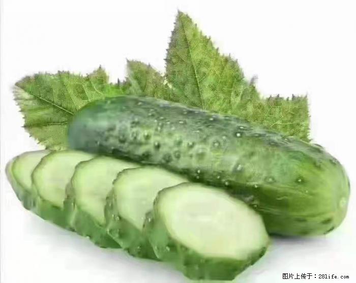 【生活小常识】吃黄瓜的好处 - 生活百科 - 重庆生活社区 - 重庆28生活网 cq.28life.net