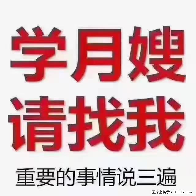 【招聘】月嫂，上海徐汇区 - 职场交流 - 重庆生活社区 - 重庆28生活网 cq.28life.net
