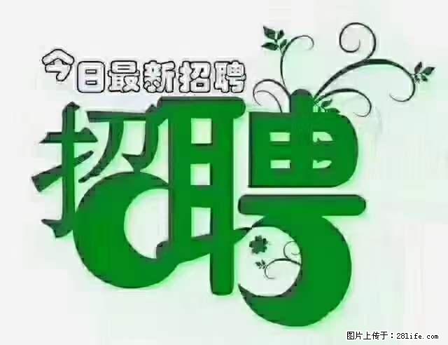 上海隔离酒店招人：55岁以下 男女不限 - 职场交流 - 重庆生活社区 - 重庆28生活网 cq.28life.net