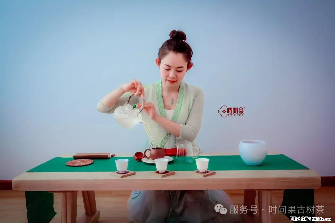 时间果百年古树龙珠普洱生茶 - 购物交流 - 重庆生活社区 - 重庆28生活网 cq.28life.net
