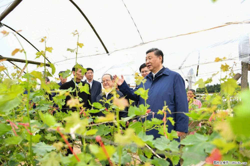 习近平赴广西考察调研 - 重庆生活资讯 - 重庆28生活网 cq.28life.net
