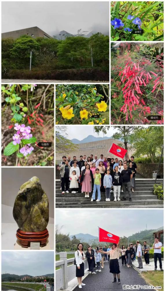 “粤灌文化 美好生活”油茶文化主题活动在广东深圳成功举办 - 重庆生活资讯 - 重庆28生活网 cq.28life.net