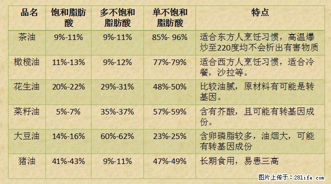 揭秘茶油的5大核心营养成分！被称为人体健康的“守护盾”！ - 重庆生活资讯 - 重庆28生活网 cq.28life.net