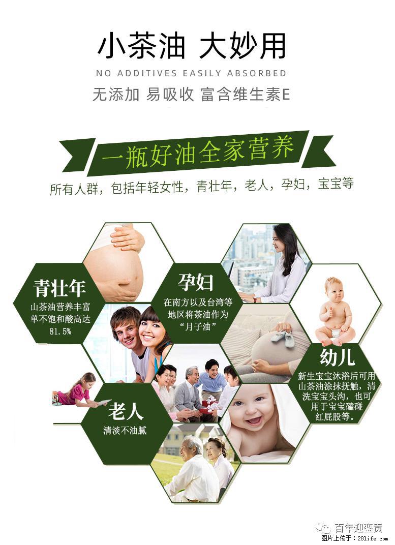 世界没有真相，只有认知，最好的食用油是中国的山茶油！ - 重庆生活资讯 - 重庆28生活网 cq.28life.net