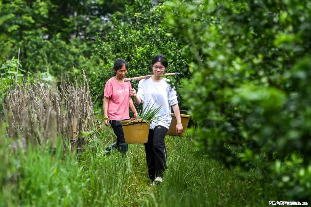 全网追的“扁担女孩”，找了一份暑假工，时薪12元 - 重庆生活资讯 - 重庆28生活网 cq.28life.net