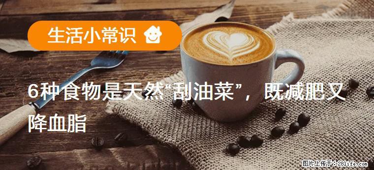 【生活小常识】6种食物是天然“刮油菜”，既减肥又降血脂 - 重庆生活资讯 - 重庆28生活网 cq.28life.net