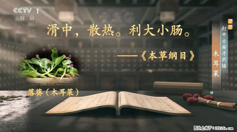 比牛奶补钙还厉害！凉血解毒、稳血糖...这菜冬天必吃，很多人却当草 - 重庆生活资讯 - 重庆28生活网 cq.28life.net