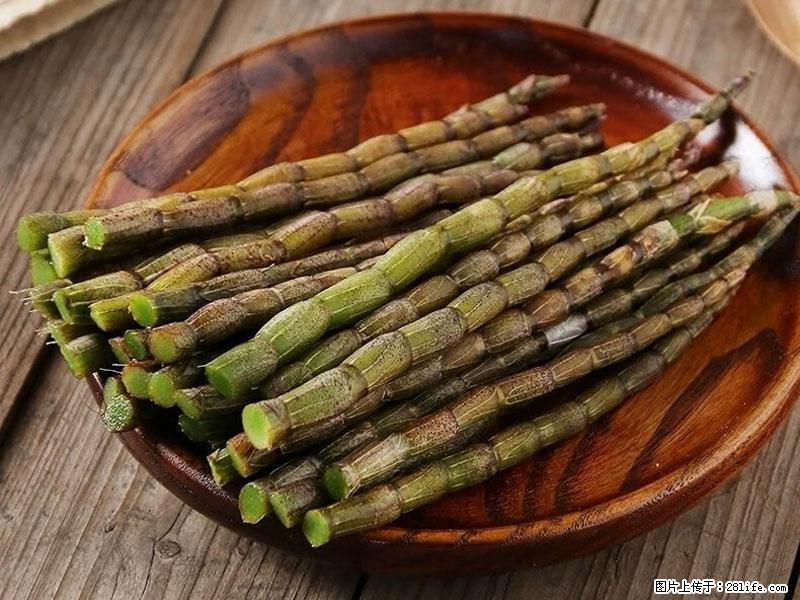 铁皮石斛的作用与功能主治 - 重庆生活资讯 - 重庆28生活网 cq.28life.net